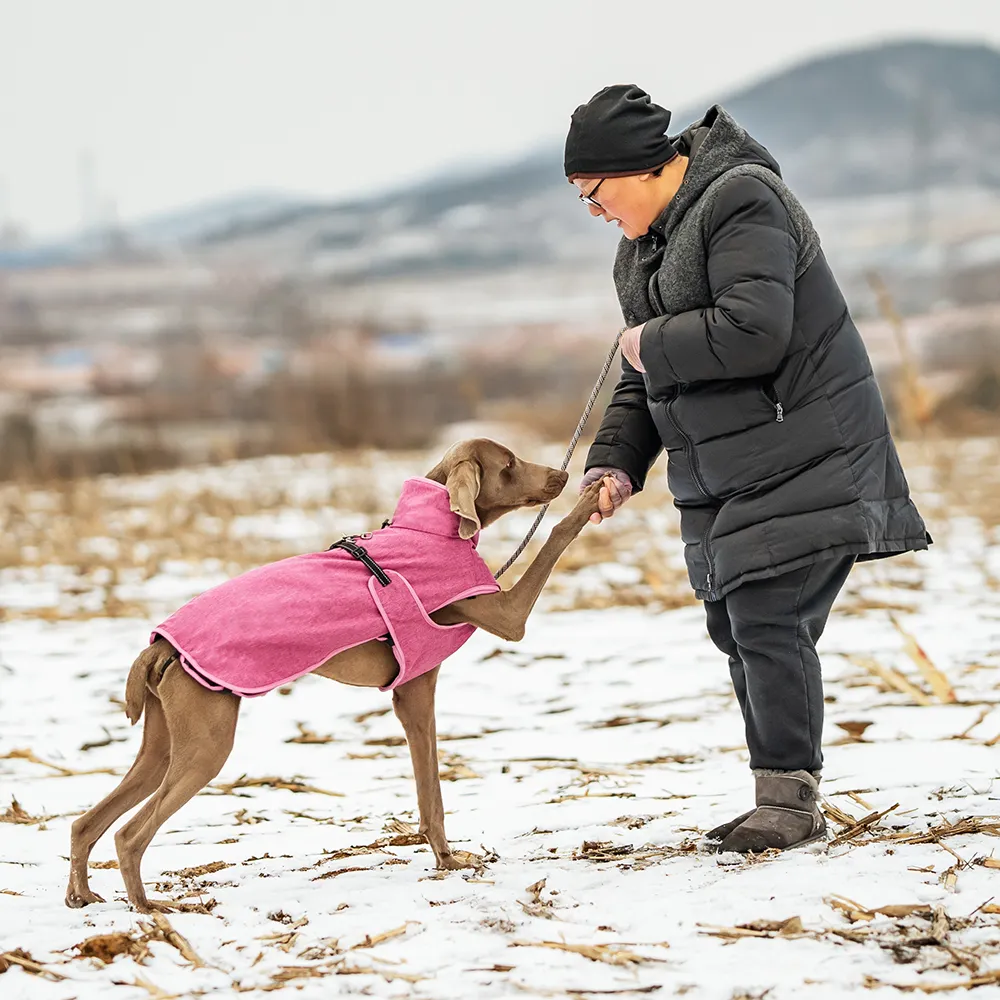 Wholesale Autumn Winter Dog Clothes Warm Dog Coat Waterproof Windproof Warm Custom Pet Clothing