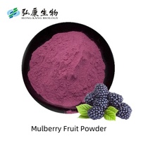 Natuurlijk moerbeienpoeder, zwart moerbeienfruitpoeder, fruitsappoeder, drankingrediënt, groothandel