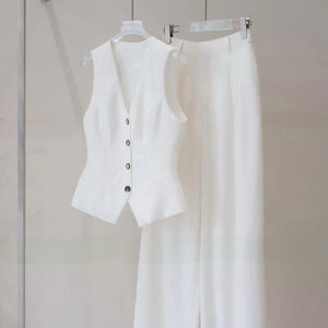 Conjunto de 2 Piezas para Mujer, Chaleco y Pantalones Lisos, Hecho en Vietnam, Estilo Casual Chic, Cuello en V sin Mangas, Material de Poliéster de Longitud Completa - Product Image 1