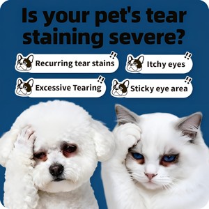 OEM ODM cane collirio gatti veterinario-trattamento di infezione raccomandato lenire l'infezione <span class=keywords><strong>allergia</strong></span> <span class=keywords><strong>per</strong></span> alleviare gli <span class=keywords><strong>occhi</strong></span> secchi Pet crack Cleaner - Product Image 2
