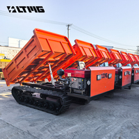 LTMG Marque chinoise 3 tonnes 3000KG Moteur diesel Machines de terrassement Type assis Mini Dumper sur chenilles avec vente