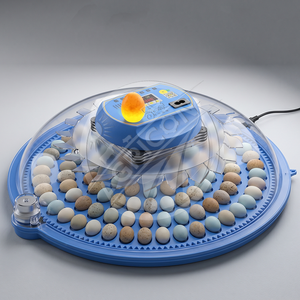 Mini Home <strong>Egg</strong> Incubator with Smart Temperature Control and Automatic <strong>Egg</strong> Turning for Poultry Hatching - Product Image 1