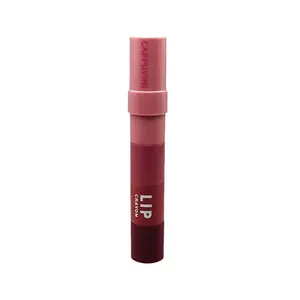 Lápiz labial de lujo cosmético transfronterizo rubor mate lápiz labial tubo lápiz labial brillo labial Nuevo Diseño Popular