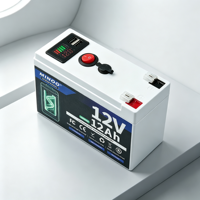 Pack de batteries LiFePO4 12V, plusieurs couleurs de coque au choix, rechargeable, cycle profond, pour le camping et les situations d'urgence