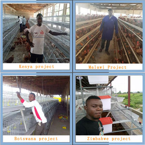 Vente de cage de couche de poulet de batterie de volaille pour la ferme d'ouganda - Product Image 5