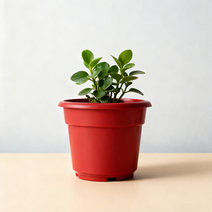 Maceta de Terracota Roja de Paredes Delgadas (<span class=keywords><strong>M</strong></span>), Florero/Maceta de Plástico con Orificio de Drenaje Premarcado para Decoración del Hogar - Product Image 3