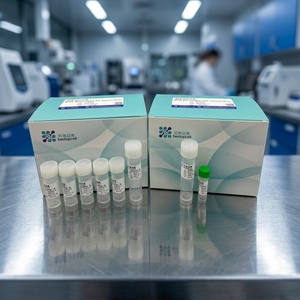 Kit de Dissolution des Tissus Cérébraux Baiaoyikang pour Souris (10 Tests) pour ScRNA-seq & Flow BA3330 - Product Image 1