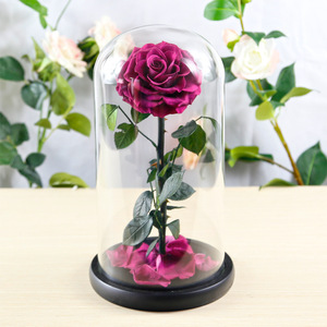 10cm rojo fresco conservado rosa en cúpula <span class=keywords><strong>de</strong></span> <span class=keywords><strong>cristal</strong></span> como regalo y decoración <span class=keywords><strong>de</strong></span> sala <span class=keywords><strong>de</strong></span> estar - Product Image 5