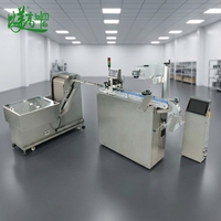 Machine de marquage laser UV automatique pour le codage intérieur et extérieur des bouchons de bouteilles avec système de rejet par inspection visuelle