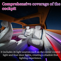 Kit d'éclairage d'ambiance intérieur 12V pour Avatar 12 2023-2025 – 12 ou 26 options de luminosité, couleur Phantom, installation sans perçage, ensemble de rétrofit pour habitacle