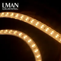 Bande lumineuse linéaire 220V de haute qualité étanche SMD 2835 Bande lumineuse LED sans fil flexible