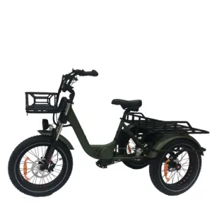 Buona qualità 20 pollici 1000w elettrico grasso pneumatico Cargo triciclo 500w adulto metà motore doppia batteria bici elettrica