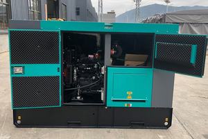 Generador Diésel <span class=keywords><strong>de</strong></span> 20kw con Caja <span class=keywords><strong>de</strong></span> Protección, Tipo Silencioso, Fabricado en EE. UU. - Product Image 6