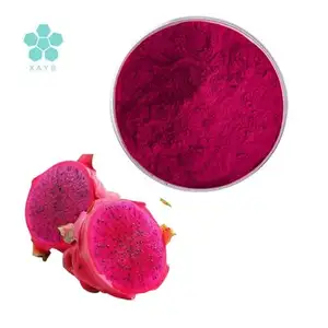 Supply Organic Bulk Freeze Dried Red Dragon Fruit Juice Powder Red Dragon