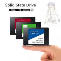SSD Interno de Plástico de Bajo Costo, 256G/512G/1T, Sata3.0, Verde, Universal, Alta Velocidad, Bajo Consumo de Energía, Alta Capacidad, Venta al Por Mayor