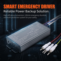 Kit d'alimentation d'urgence intelligent à LED, entrée AC85-265V, autonomie de 3 heures pour la conversion de panneaux lumineux LED High Bay, haute qualité