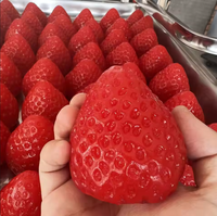 Fraises rouges à presser, texture douce pour soulager le stress, idéales pour Halloween et Noël