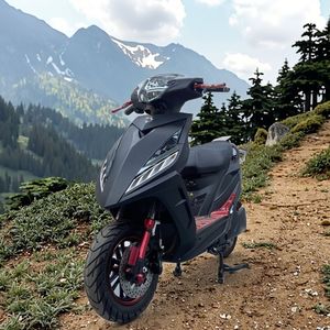 Nouvelle Offre Spéciale du Nouvel An : Moto Urbaine Lufeng Flame Fighter 800W 72V (61-80km/h) pour Adultes – Véhicule Sportif Urbain Abordable - Product Image 1