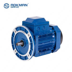 Moteur asynchrone triphasé AOKMAN, norme CEI, usage intensif, 20 kW, 50 Hz, efficacité IE3, IP54, 220 V/380 V, à entraînement par pied - Product Image 1