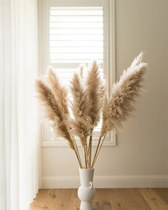Suministros de boda para decoración de eventos, natural, barato, seco, esponjoso, blanco, Beige, hierba de <span class=keywords><strong>Pampa</strong></span>, pampas de 40 pulgadas, hierba de <span class=keywords><strong>Pampa</strong></span> natural, para la boda, para la decoración de eventos - Product Image 6