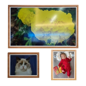 Flexible e-ink 13,3 pulgadas gran pantalla de arte digital marco eink color electrónico ePaper publicidad panel Etiqueta E Ink calendario - Product Image 1