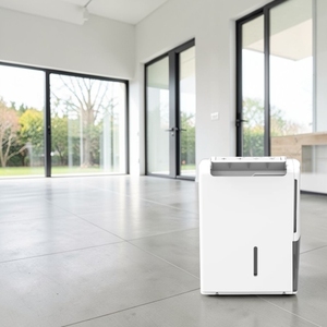 Deshumidificador Portátil DS para Sala de Estar, Control Táctil, Función de Temporizador, OEM/ODM Disponible, Fácil de Mover - Product Image 1