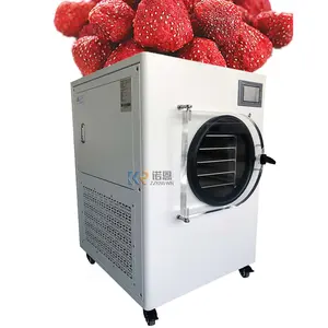 Vacuum Freeze Dryer Manufacturers Freeze Dry Machine For Sale Freeze Dryer Food Drying Machine