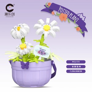 Boîte Mystère de Plantes Succulentes et Roses - Kit de Jardinière à Construire, Cadeau pour Femmes, Décoration de Bureau et Cadeau Surprise - Product Image 4