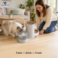 Distributeur automatique de nourriture et fontaine à eau pour animaux de compagnie, station d'alimentation pour chats et chiens à brancher avec un grand réservoir de nourriture, bol en acier