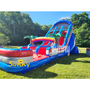 <span class=keywords><strong>Toboggan</strong></span> aquatique <span class=keywords><strong>gonflable</strong></span> de qualité commerciale <span class=keywords><strong>avec</strong></span> <span class=keywords><strong>piscine</strong></span>, grand <span class=keywords><strong>toboggan</strong></span> aquatique <span class=keywords><strong>gonflable</strong></span> en forme de palmier à double piste, à vendre - Product Image 3