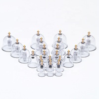 22 pièces en boîte, ventouses transparentes pour thérapie par ventouses, en ABS+PC, pour acupuncture et Hijama, fonction antirhumatismale, massage corporel, CE