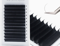 Plateau d'extensions de cils individuels en gros directement de l'usine, logo personnalisé, volume russe, style mixte classique, cils plats noir mat
