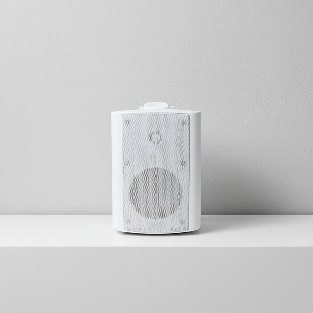 8 Ohm High Performance 2 Way Wall Speaker for Commercial Audio and Background Music Systems