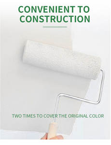 <span class=keywords><strong>Salux</strong></span>-pintura elástica para exteriores, revestimiento de látex para paredes de casa - Product Image 6