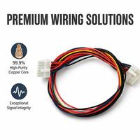 Harness Kabel OEM dan After Market Khusus dengan Isolasi Nilon untuk Lampu Proyektor LED dan Sistem Elektronik