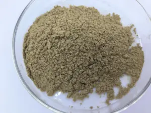 Hot Sale Spongilla Lacustris Extract 70% Hydrolyzed Sponge Powder Long Needle Sponge Spicules