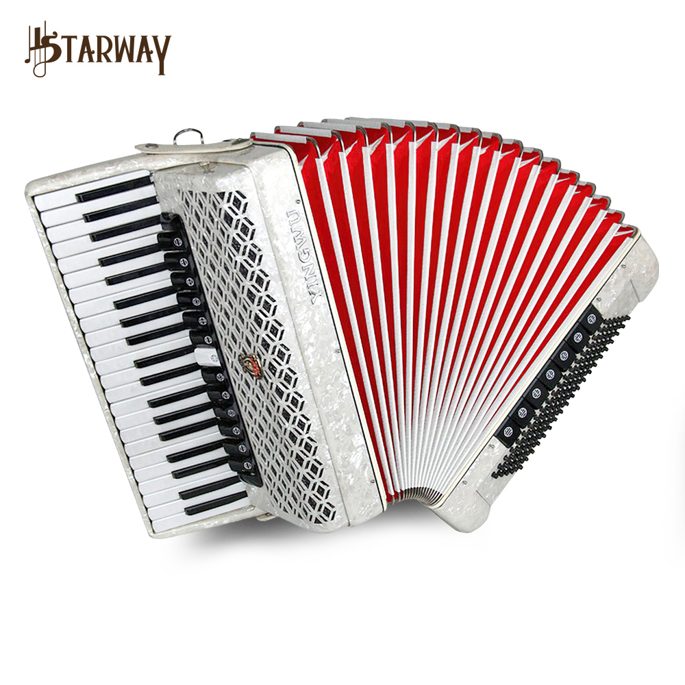 アコーディオン　Parrot 30鍵盤 China Parrot 34 Keys 60 Bass Diatonic Keyboard Accordion