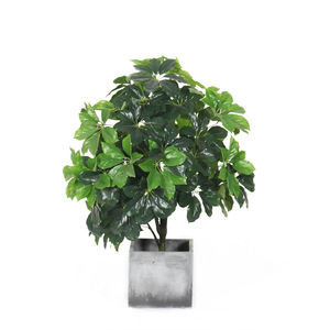 <span class=keywords><strong>D</strong></span>écoration intérieure de fausses plantes artificielles pour les mariages <span class=keywords><strong>d</strong></span>'<span class=keywords><strong>intérieur</strong></span> - Product Image 3