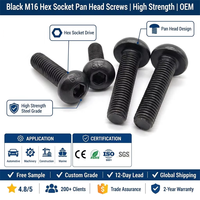 OEM Custom M3 M5 M6 M8 M10 M12 M14 M16 Carbon Steel Black Oxide Hex Socket Pan Button Cap Head Screws