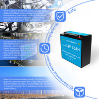 Batterie LiFePO4 à cycle profond personnalisée 30Ah 20Ah 15Ah 10Ah 12Ah 6Ah 12V batterie rechargeable au lithium-ion avec BMS