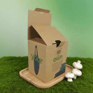 Logo personnalisé fabricant boîte <span class=keywords><strong>en</strong></span> carton ondulé emballage <span class=keywords><strong>en</strong></span> papier boîtes de culture de champignons pour <span class=keywords><strong>légumes</strong></span> et <span class=keywords><strong>fruits</strong></span> - Product Image 1