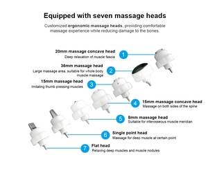 Cabezales de Tratamiento de Fisioterapia <span class=keywords><strong>Veterinaria</strong></span> con Ondas de Choque para el Tratamiento del Dolor en Caballos - Product Image 3