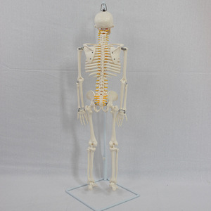 85 - Product Image 3