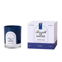 Vente en gros d'usine et personnalisation de bougies parfumées à la cire de soja colorées remplies de verre avec boîtes-cadeaux