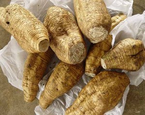 ISO sertifikalı saf Pure aria kufica özü Kudzu nişasta tozu takviyesi toplu Kudzu kök ekstresi tozu - Product Image 5
