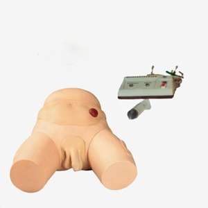 Mannequin en PVC Buywells GD/H27 SICHUAN pour l'enseignement et l'<span class=keywords><strong>apprentissage</strong></span> de la cathétérisme urétral, de l'irrigation et de l'anatomie électronique - Product Image 1