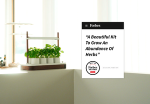 Lampes solaires numériques intelligentes écologiques pour <span class=keywords><strong>jardin</strong></span>, en plastique, pour usage domestique au sol, avec fonctions électroniques, pots et jardinières intelligents - Product Image 3