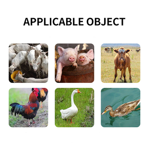 Hiệu quả tốt Radix bupleuri chiết xuất Radix bupleuri Trung Quốc thorowax gốc chiết xuất thức ăn phụ gia - Product Image 5