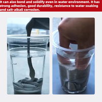 Les excellentes propriétés physiques et chimiques du liquide de coulis de polyurée pour les joints de dilatation anti-fuite et anti-corrosion