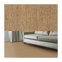 Rouleau de moquette murale en sisal à fibres naturelles pour la décoration des sols de la maison, de l'hôtel, du bureau, de la station balnéaire
